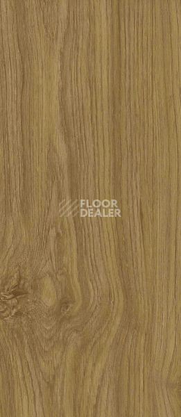 Кварцвиниловые полы Vertigo Trend / Wood 2113 Natural Oak 152.4 мм X 914.4 фото 1 | FLOORDEALER